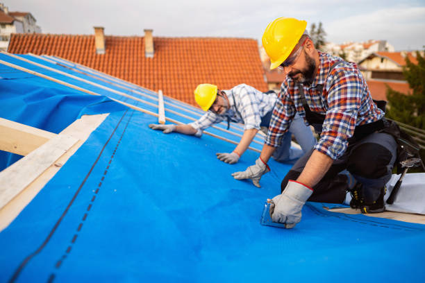 Best New Roof Installation  in Sebastian, FL